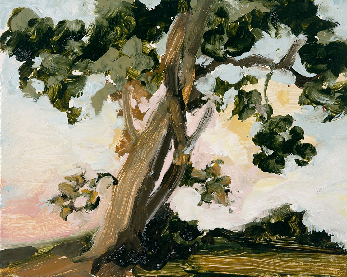 Trees Entwined